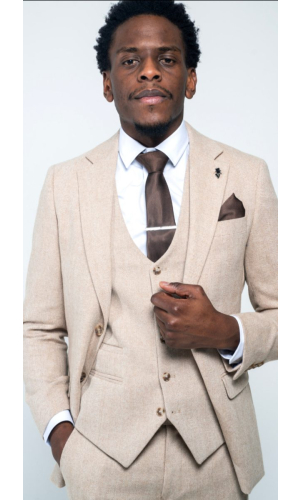 Errol Beige Wool Blend Suit